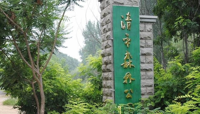 高唐县清平森林公园
